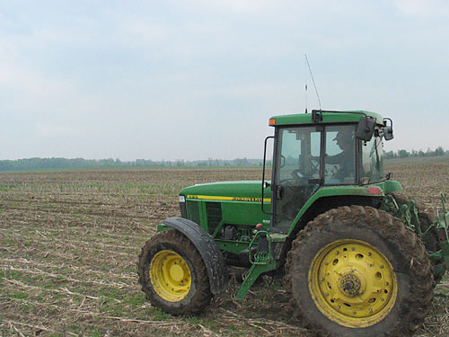 Doing a blistering 8mph up the pasture.