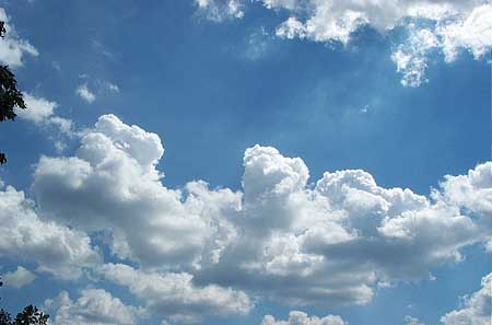 there is so much sky up there, it doesn't fit in the picture.