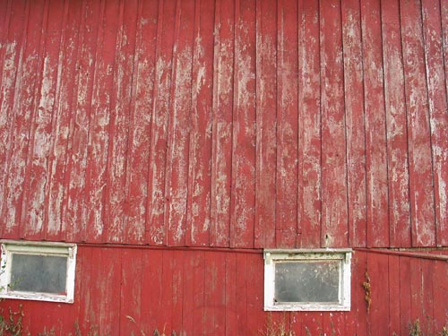 The side of Brian's barn. Great texture.