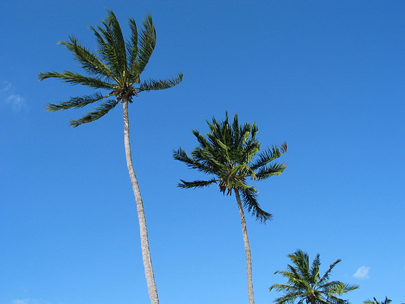 These are the bluest skies I've ever seen.